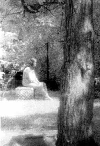 The Madonna of Bachelor's Grove